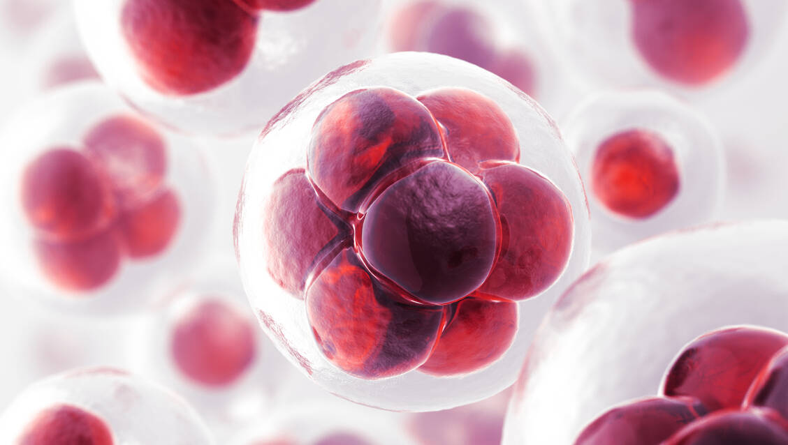 Blutwerte zeigen, wie gesund der Körper ist und helfen, Krankheiten  aufzuklären. / Foto: Getty Images/
BlackJack3D