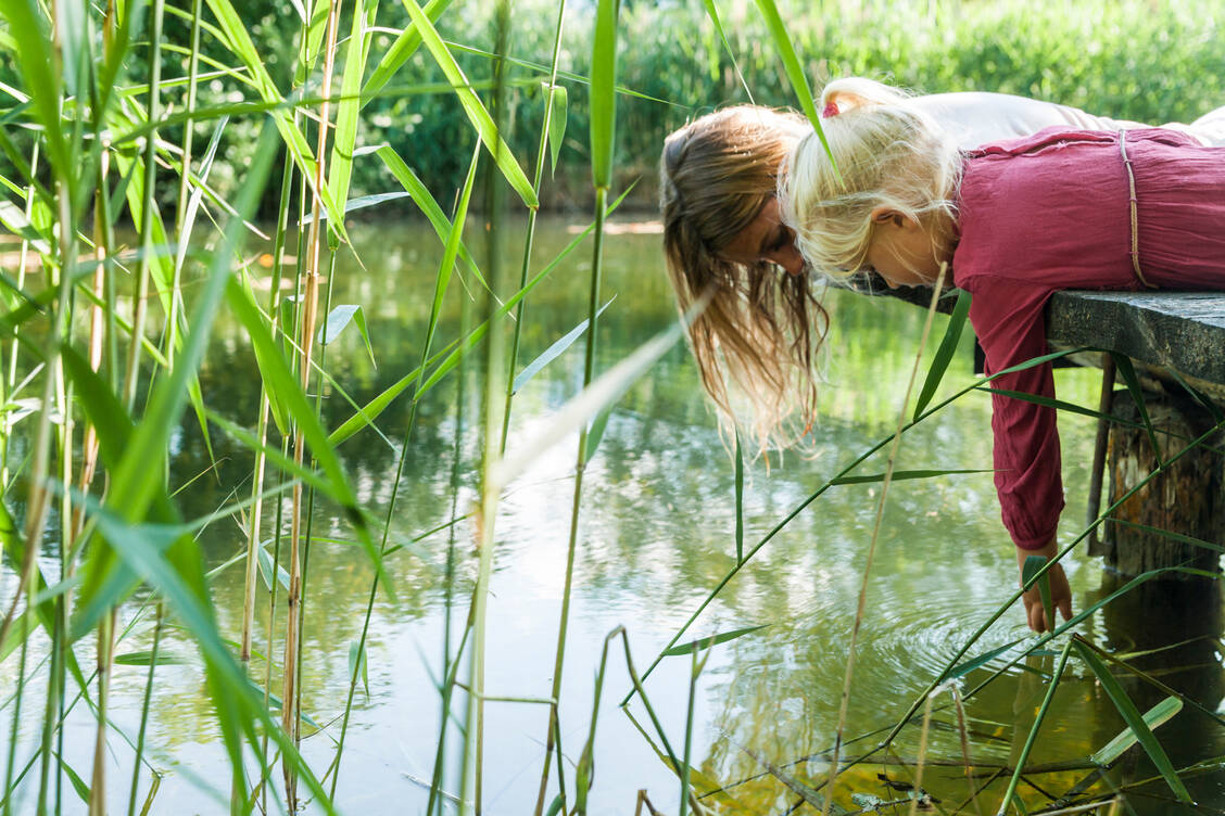 Grünes und trübes Wasser deutet darauf hin, dass Blaualgen Überhand genommen haben. / Foto: Getty Images/Westend61