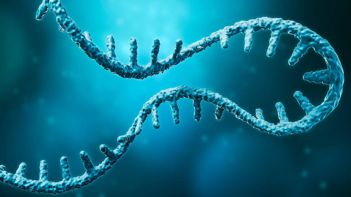 Die zielgerichtete Verabreichung der mRNA in das gewünschte Gewebe stellt die Entwickler vor Herausforderungen. / © Adobe Stock/Matthieu Louis