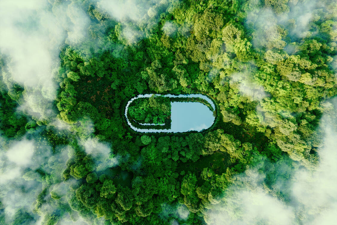 Arzneimittel gelangen vor allem über die Ausscheidungen der Anwender in die Umwelt. Deshalb ist es wichtig, zur richtigen Anwendung und zu den Anwendungszeiträumen zu beraten. / © Getty Images/Petmal