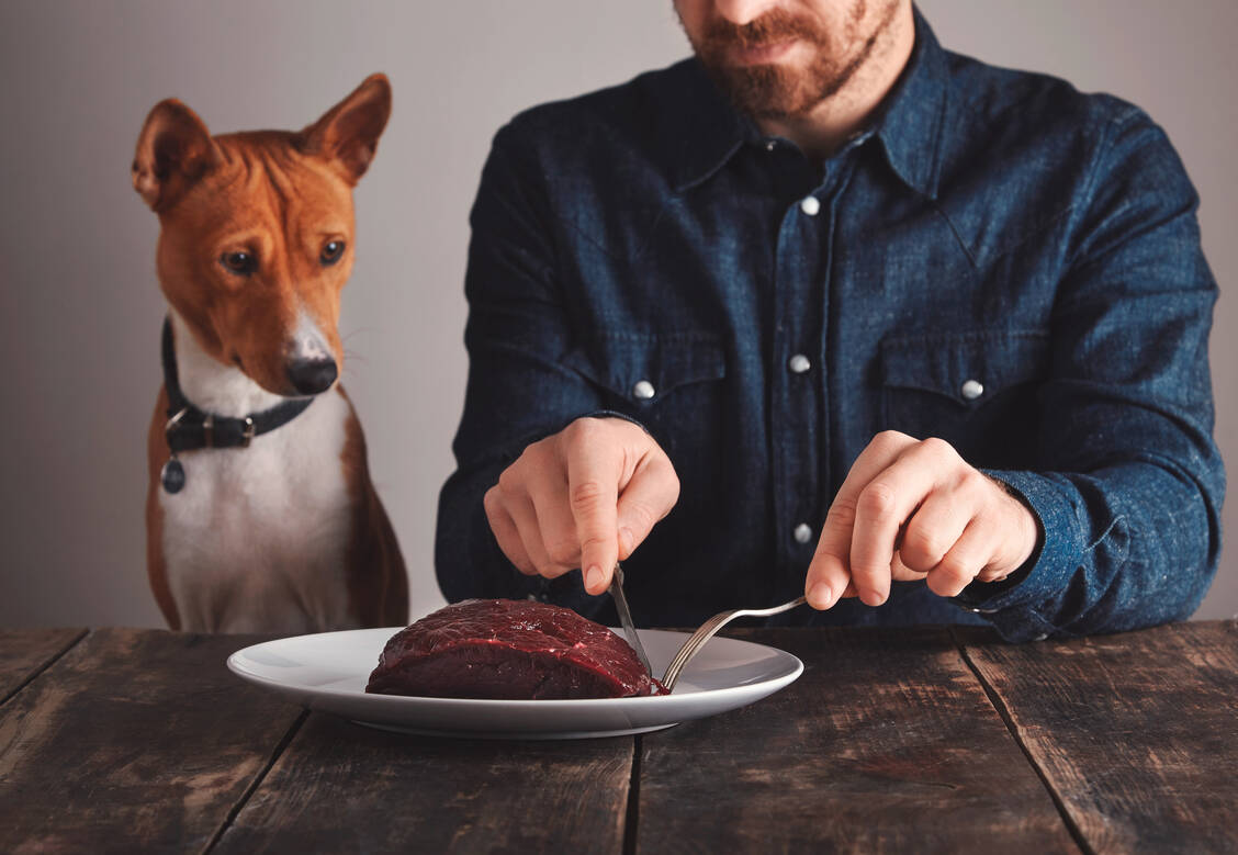 Hunde mit rohem Fleisch zu füttern liegt im Trend, kann aber gefährlich werden. / Foto: Adobe Stock/marioav