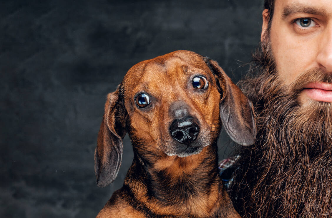 Wie der Hund so das Herrchen ... Die Ähnlichkeit zwischen Mensch und Haustier erstreckt sich häufig auch auf die Gesundheit. / Foto: ©Fxquadro - stock.adobe.com