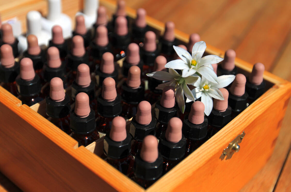 Bachblüten werden wie eh und je  in »stock-bottles« vertrieben. / Foto: Foto: Adobe Stock/catalyseur7