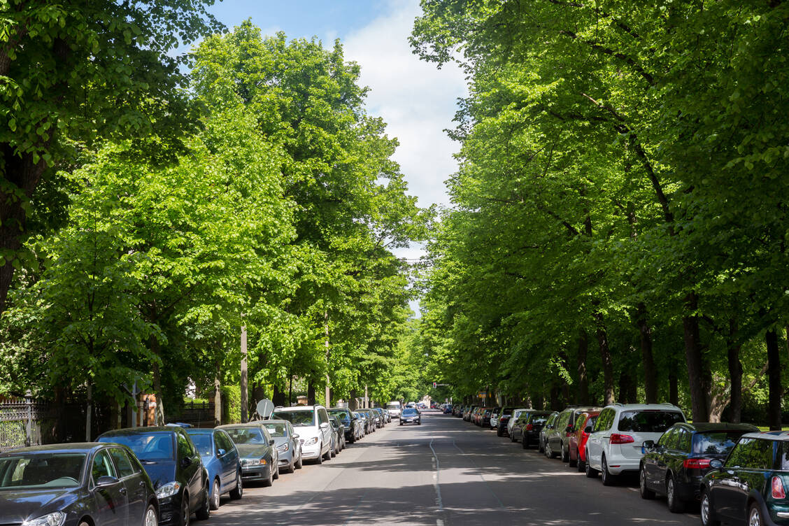 Gespürt haben es wohl die meisten schon, dass das Grün der Natur Stimmung macht. Nun ist bewiesen, dass Bäume in Wohnnähe sogar Depressionen lindern. / Foto: Getty Images/fhm