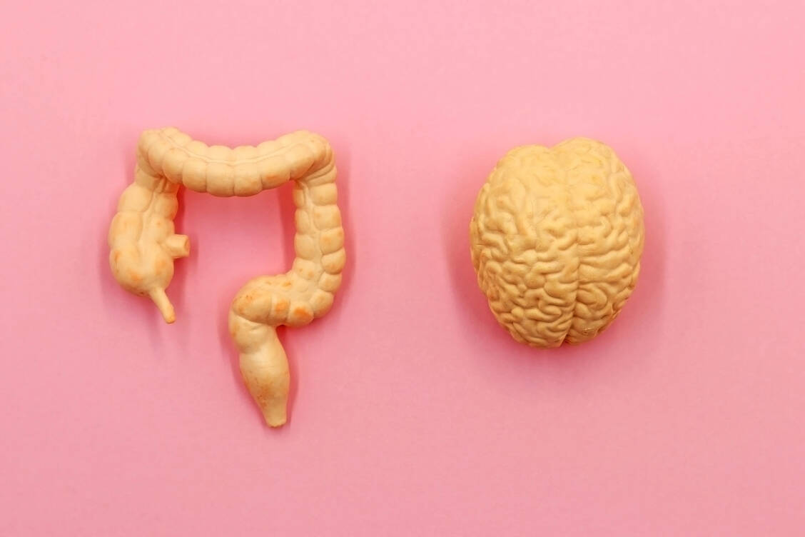 Bei funktionellen Magen-Darm-Beschwerden ist die Kommunikation zwischen Bauchorganen und Gehirn gestört. / Foto: Adobe Stock/TopMicrobialStock