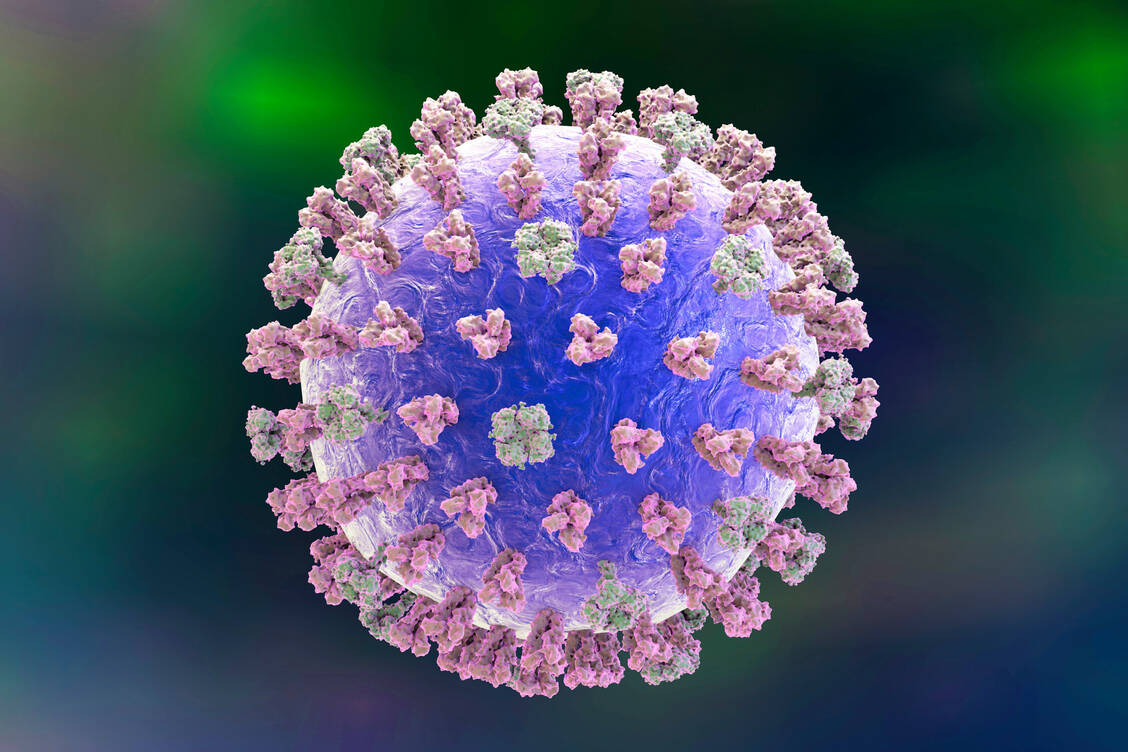 Influenzaviren werden in die Typen A, B und C unterteilt. Die saisonale Grippe beim Menschen verursachen vor allem Influenza A- und B-Viren.  / Foto: Getty Images/Kateryna Kon
