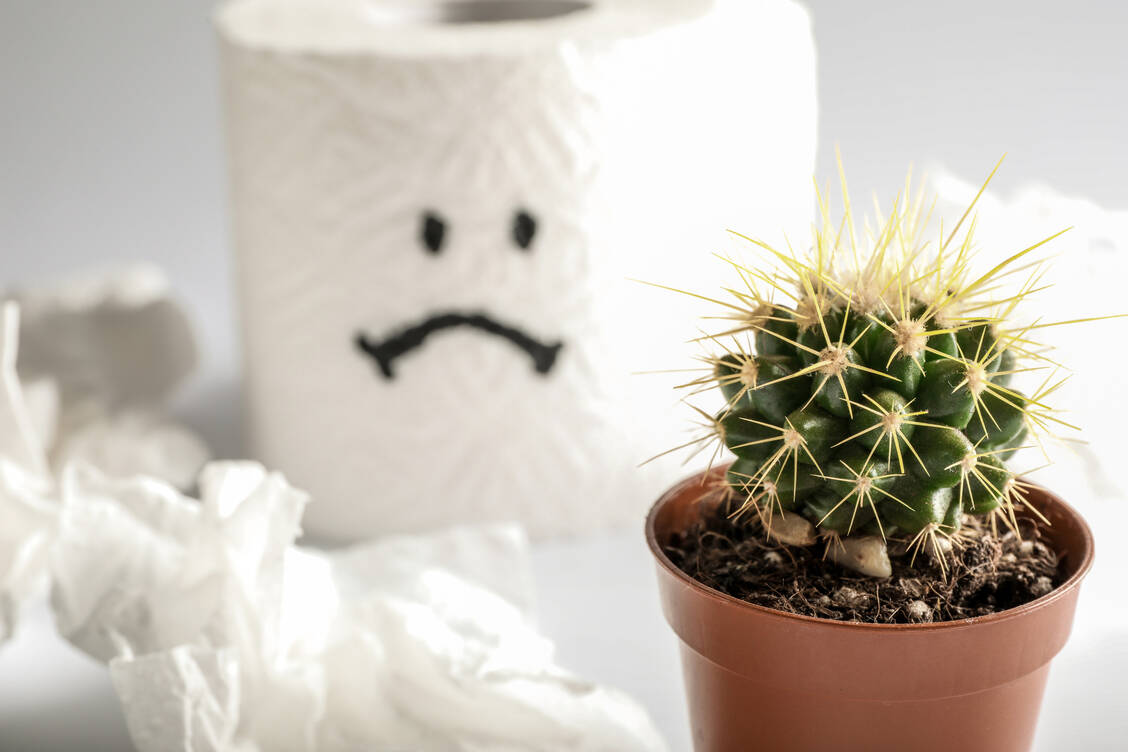 Wer Probleme mit Hämorrhoiden hat, sollte lange Toilettensitzungen und Pressen vermeiden. / Foto: Adobe Stock/LumenSt