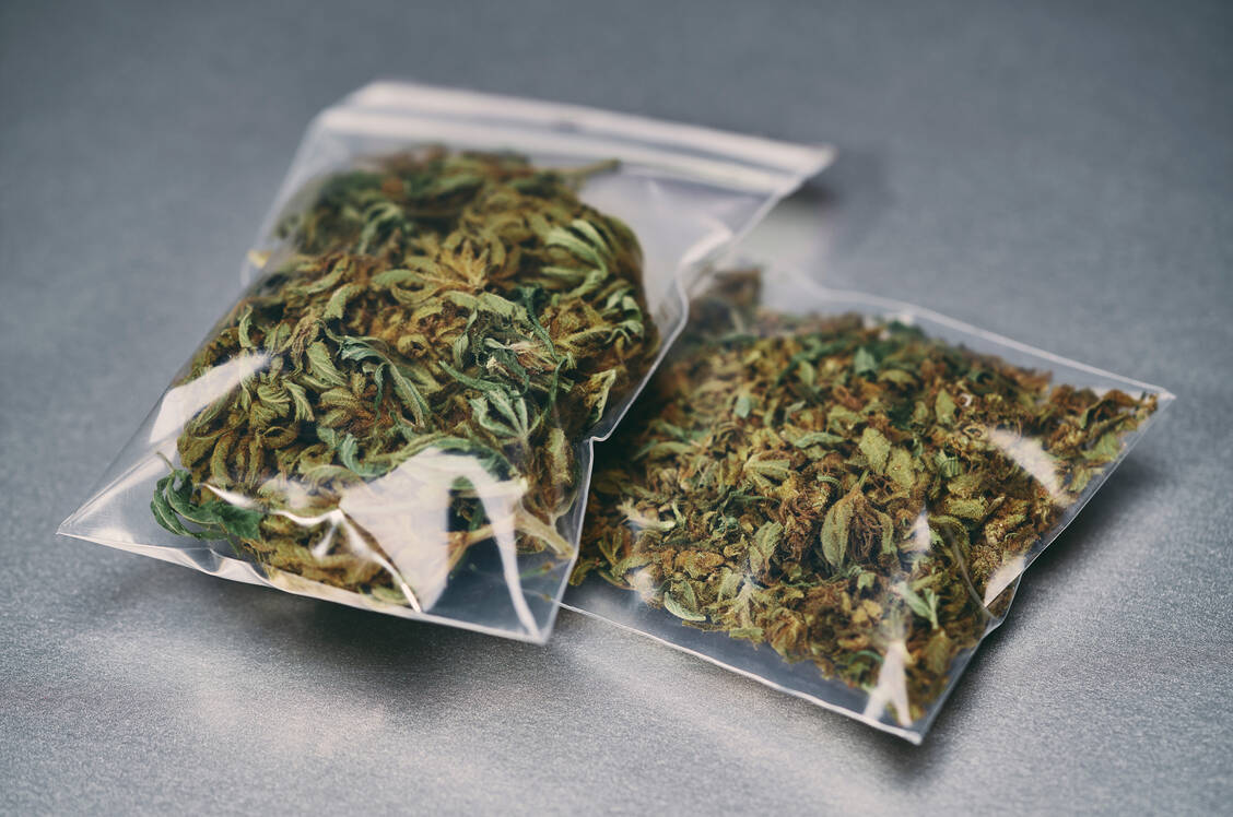 In Deutschland ist Cannabis die am häufigsten konsumierte illegale Droge – noch. Eventuell kommt es unter einer neuen Koalition zur Legalisierung. / Foto: Getty Images/Norman Posselt