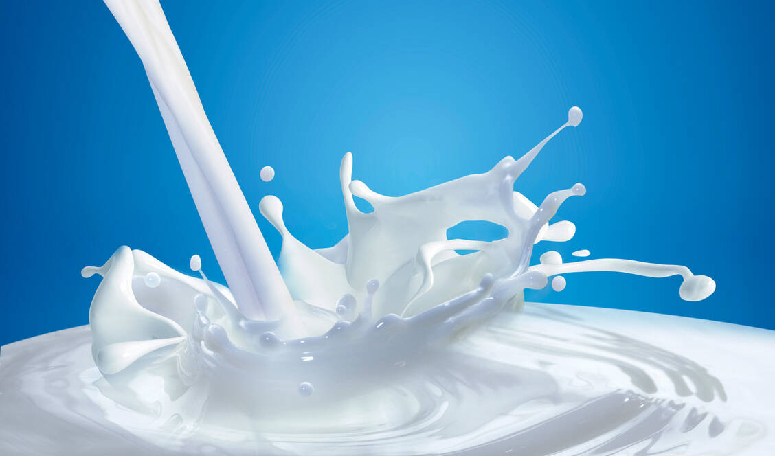 Milch, Joghurt und Quark: Eine spezielle Gruppe von Menschen mit Multipler Sklerose sollte Milchprodukte meiden.  / Foto: Shutterstock/adike