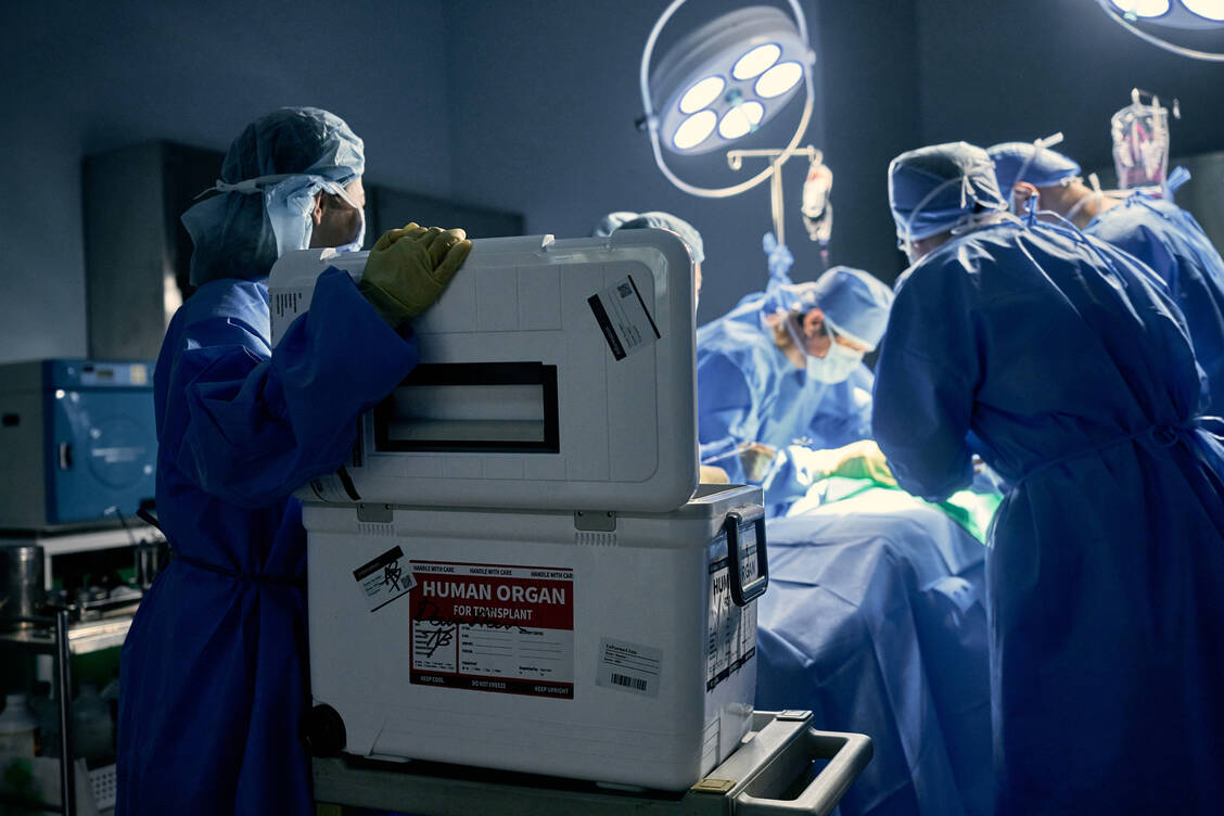 Ob ein Mensch Organe spenden kann, hängt in erster Linie von deren Zustand ab. / © Getty Images/Plan Shooting 2/Imazins