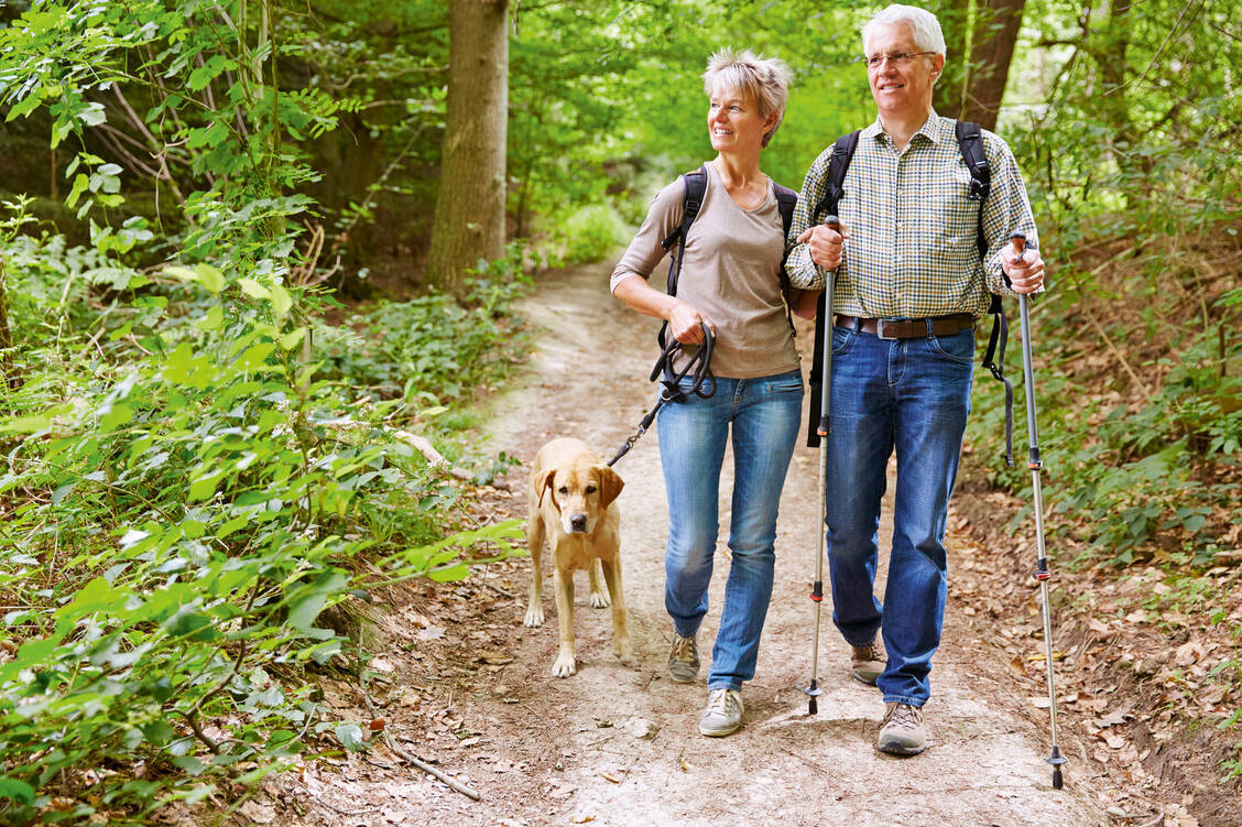 Ein Hund hält gesund, denn er zwingt seine Besitzer dazu, sich viel zu bewegen. / Foto: Fotolia/Robert Kneschke
