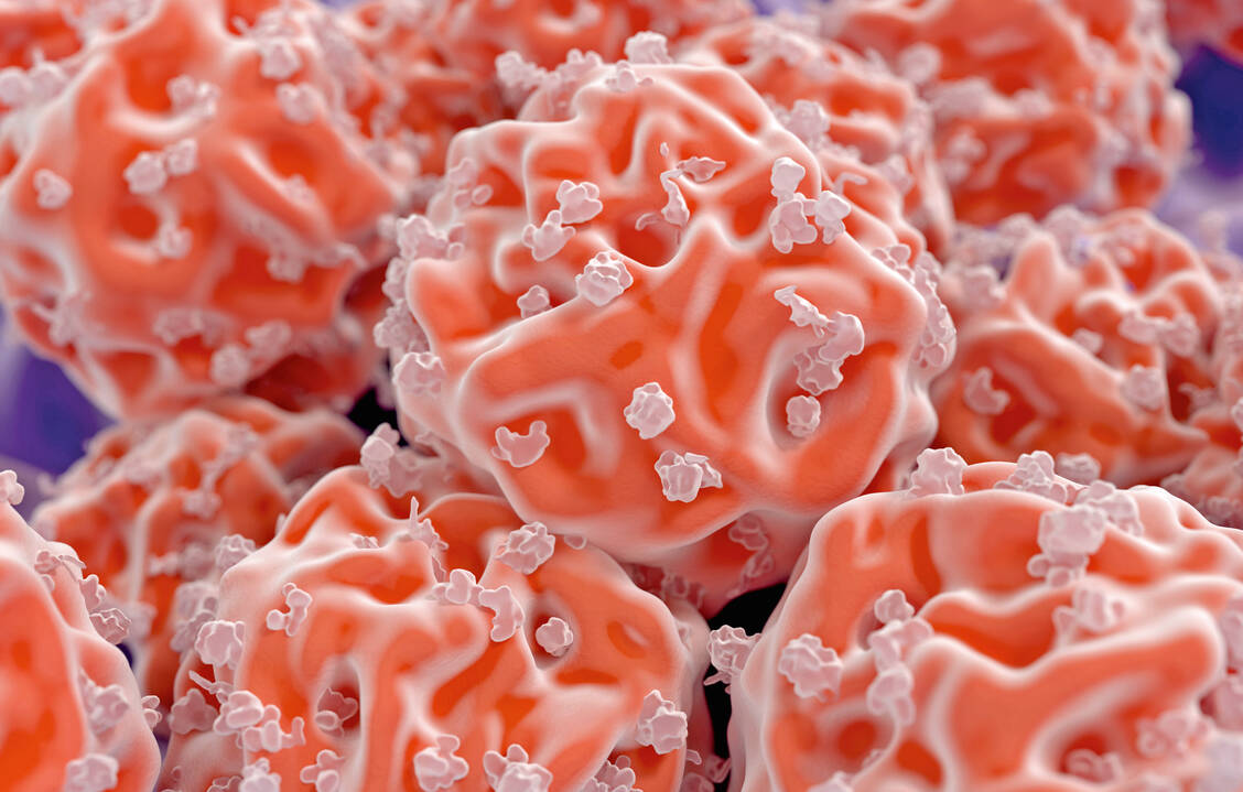 Eine Transplantation von Stammzellen ist etwa für Patienten mit Leukämie oder Lymphomen oft die einzige Therapieoption. / Foto: Shutterstock/Juan Gaertner