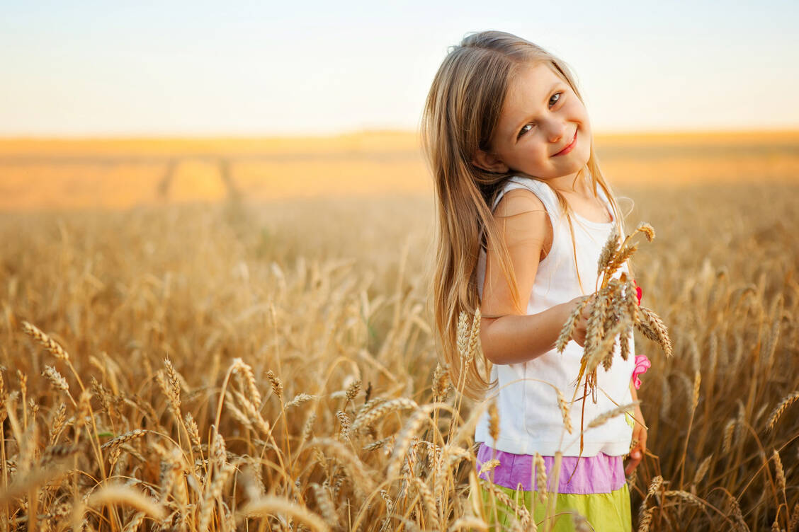 Neben Weizen enthalten auch ältere Getreidesorten wie Dinkel, Einkorn oder Emmer viel der unter Verdacht stehenden ATIs.. / Foto: Shutterstock/Anastasiia Markus