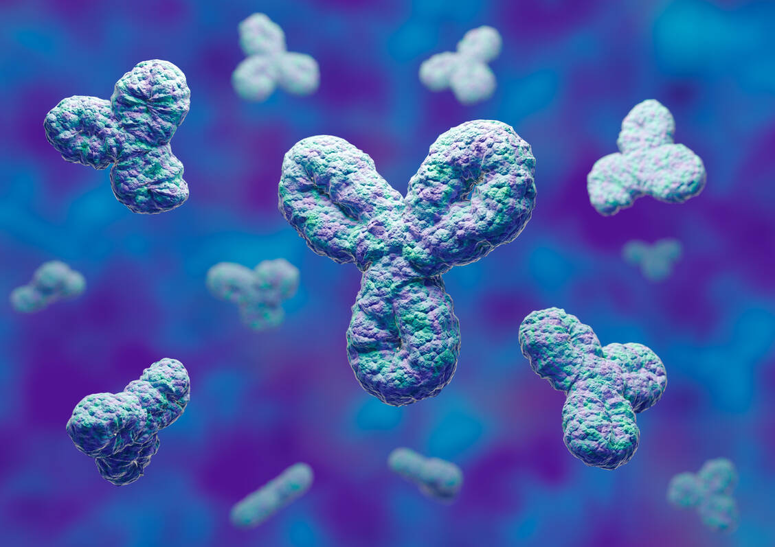 Antikörper sind Bestandteil des menschlichen Immunsystems. Als Arzneistoffe werden sie biotechnologisch hergestellt. / Foto: Getty Images/Gilnature
