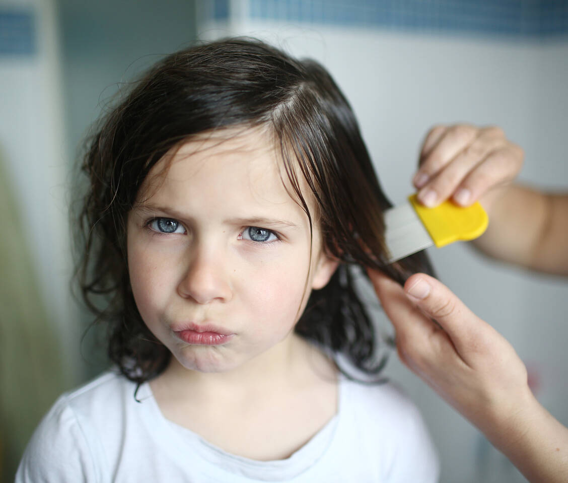 Das kann dauern: Das Durchkämmen der Haare – Strähne für Strähne – mit dem Läusekamm kann leicht eine halbe Stunde oder mehr in Anspruch nehmen. / © Getty Images/Catherine Delahaye