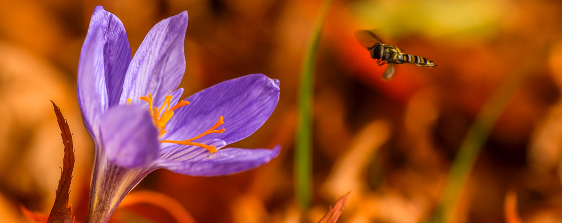 Foto: Adobe Stock/xx85xx