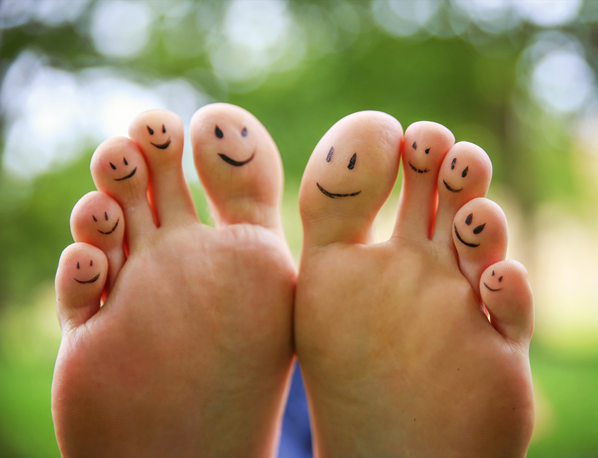 Foto: Shutterstock/Annette Shaff