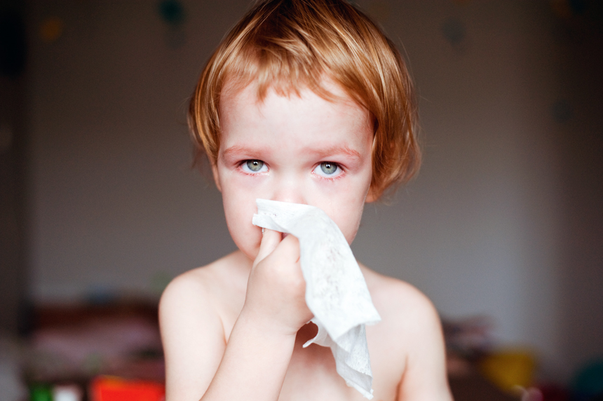 Foto: Shutterstock/mamaza