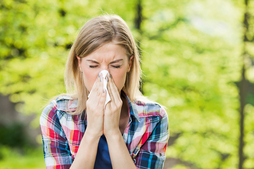 Foto: iStock/Photodjo