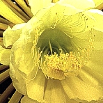 Foto: Schöpke