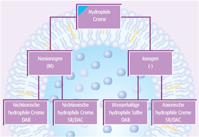 Grafik 3: Einteilung hydrophiler Cremes