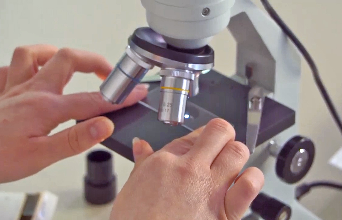 Was ist bei der Mikroskopie zur Bestimmung der Teilchengröße zu beachten? Unser Video klärt auf. / Foto: PTA-Forum