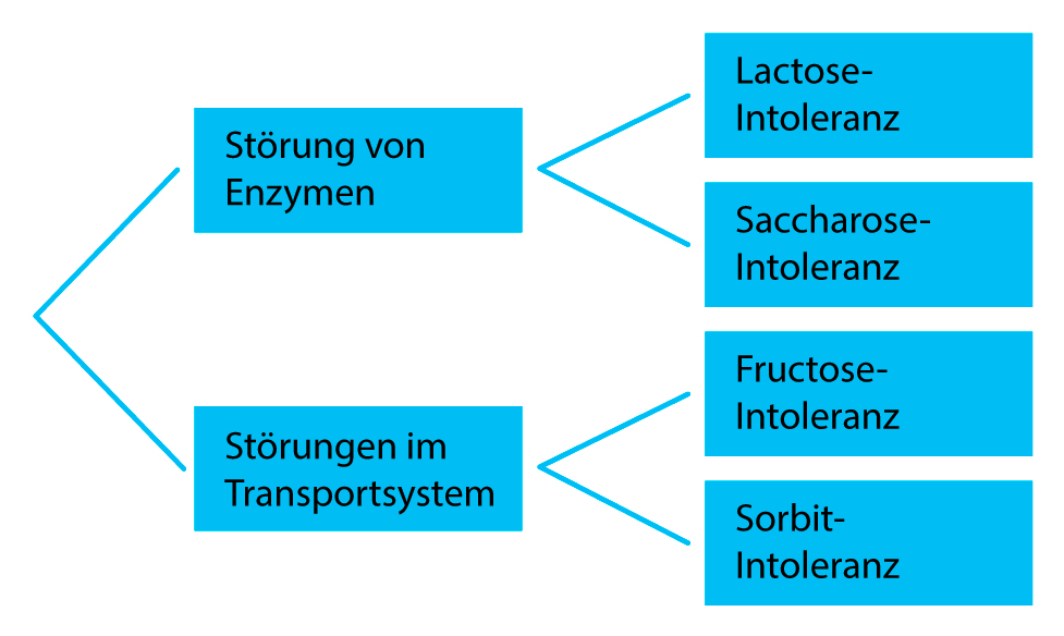 Ursachen häufiger Zucker-Unverträglichkeiten / Foto: PTA-Forum
