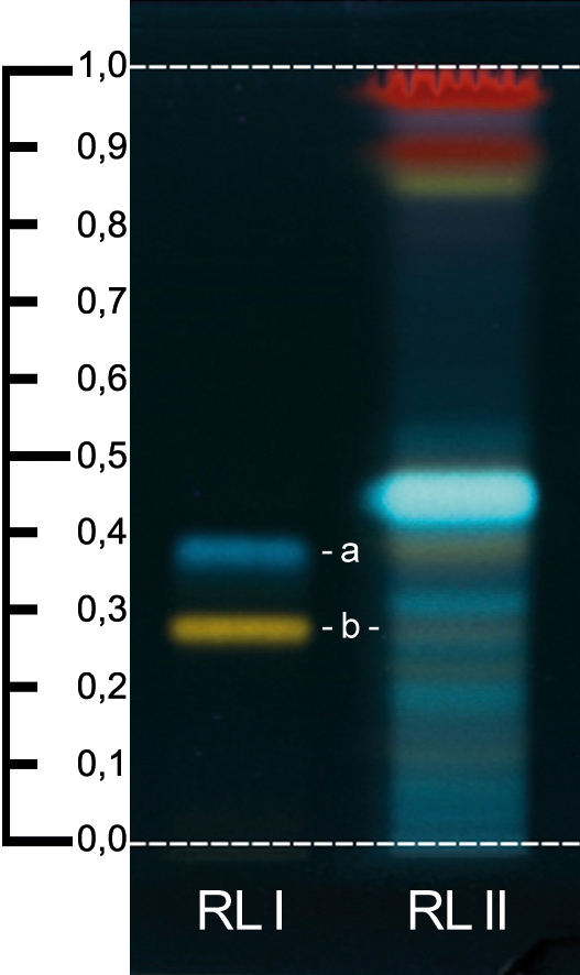 Abb. 2: Augentrostkraut, Identität D, DAC-Probe 11 auf 5x7,5 cm DC-Platten. UV 365, nach Besprühen: Referenzlösung (RL I) mit Chlorogensäure (a) und Rutosid-Trihydrat (b), Referenz bekannter Identiät (RL II) / Foto: DAC/NRF